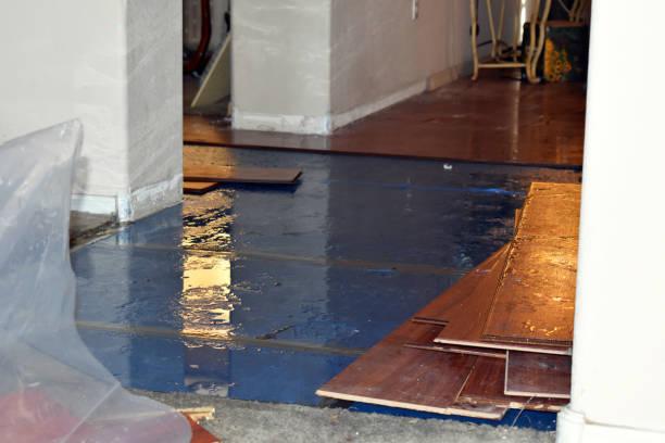 Professional Water Removal technician working in Crystal, MI
